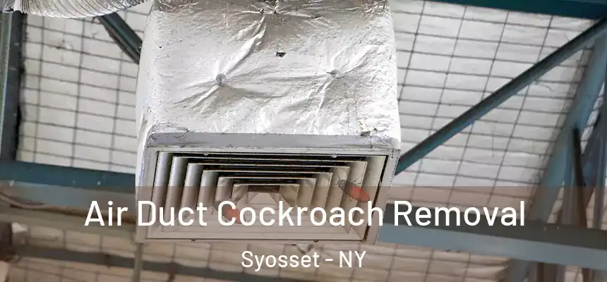 Air Duct Cockroach Removal Syosset - NY