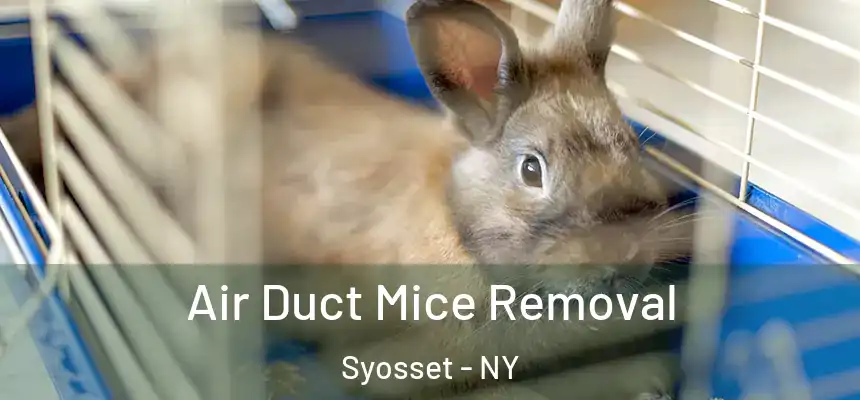 Air Duct Mice Removal Syosset - NY