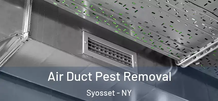 Air Duct Pest Removal Syosset - NY