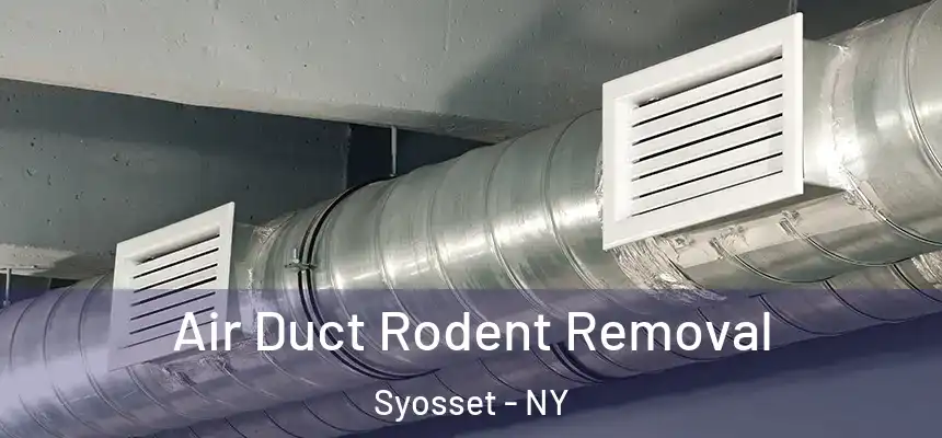  Air Duct Rodent Removal Syosset - NY