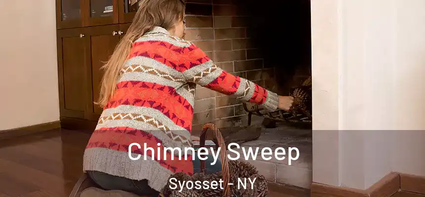 Chimney Sweep Syosset - NY