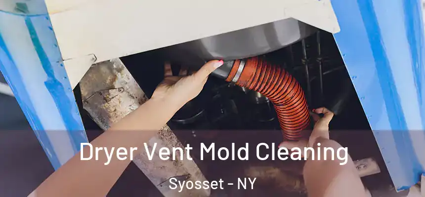 Dryer Vent Mold Cleaning Syosset - NY
