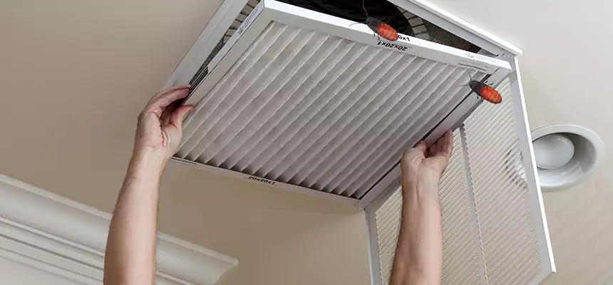 Preventive Cockroach-Proofing for Ducts in Syosset