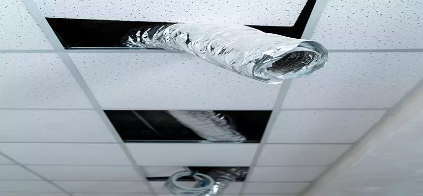 Our Air Duct Pet Hair Removal Services in Syosset, NY