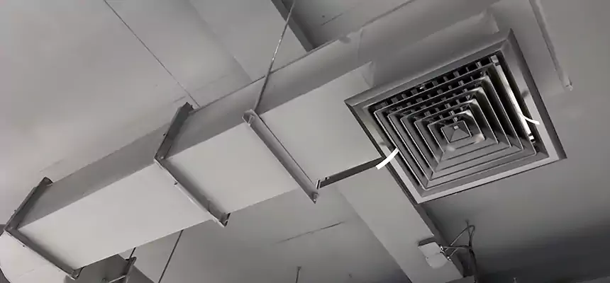 Our Pest Removal From Ducts Services in Syosset, NY