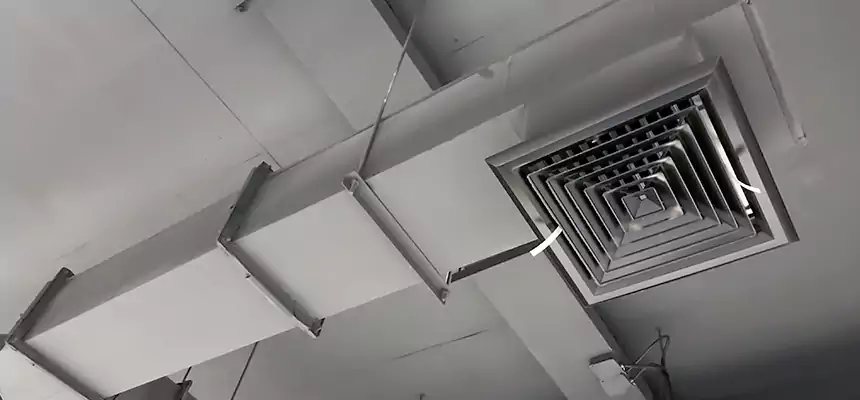 Our Rodent Droppings In Vents Services in Syosset, NY