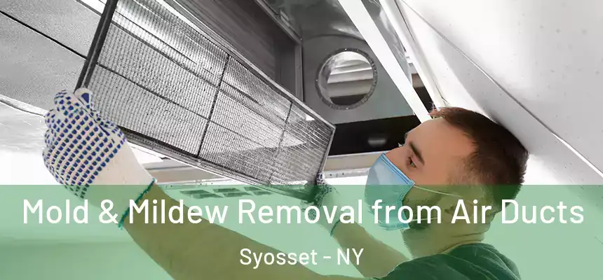 Mold & Mildew Removal from Air Ducts Syosset - NY