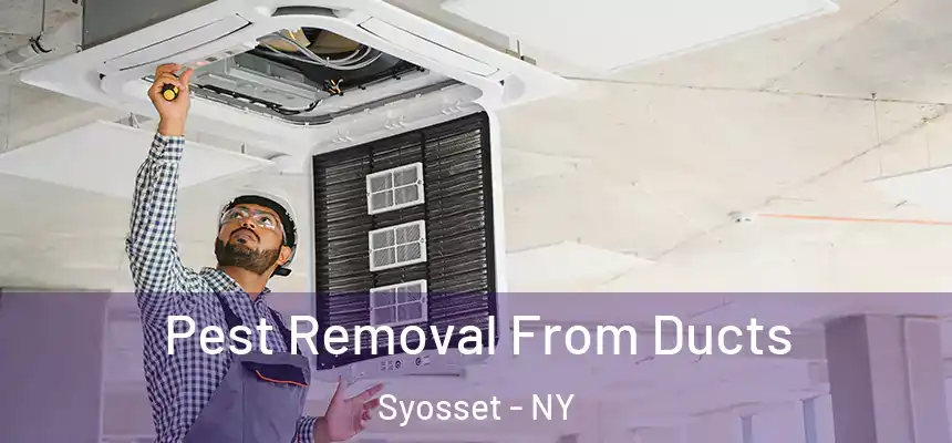 Pest Removal From Ducts Syosset - NY