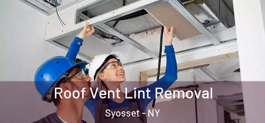 Roof Vent Lint Removal Syosset - NY