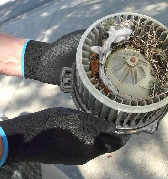 About Air Duct Mice Removal in Syosset, NY