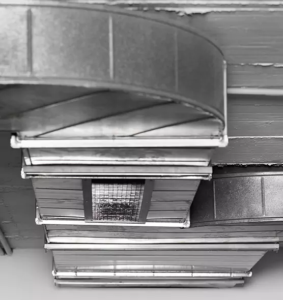 Professional Air Duct Pet Hair Removal in Syosset, NY