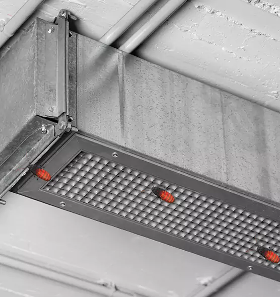 Affordable Insect Removal from Air Ducts in Syosset, NY