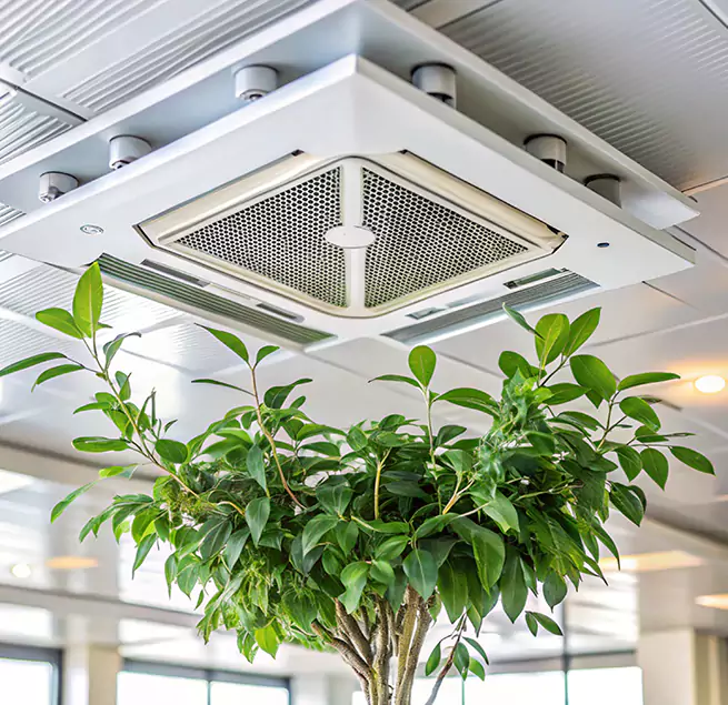 Why Homeowners & Businesses Trust Us in Syosset, NY?